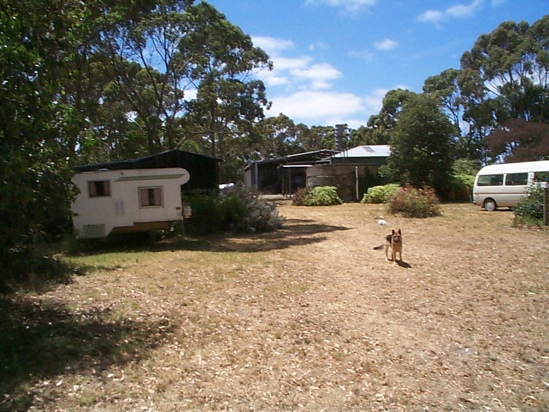 91 South Road, Currie TAS 7256