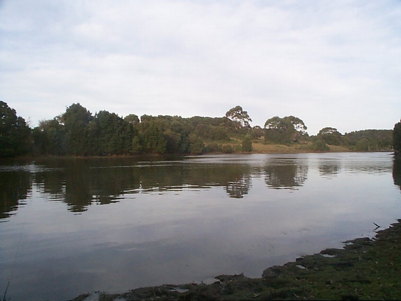 710 Ridges Road, Sea Elephant TAS 7256