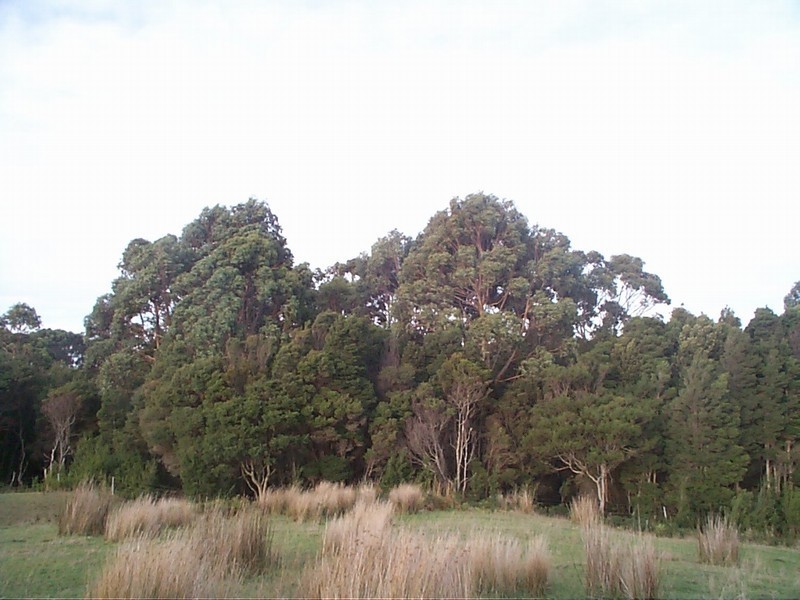 710 Ridges Road, Sea Elephant TAS 7256