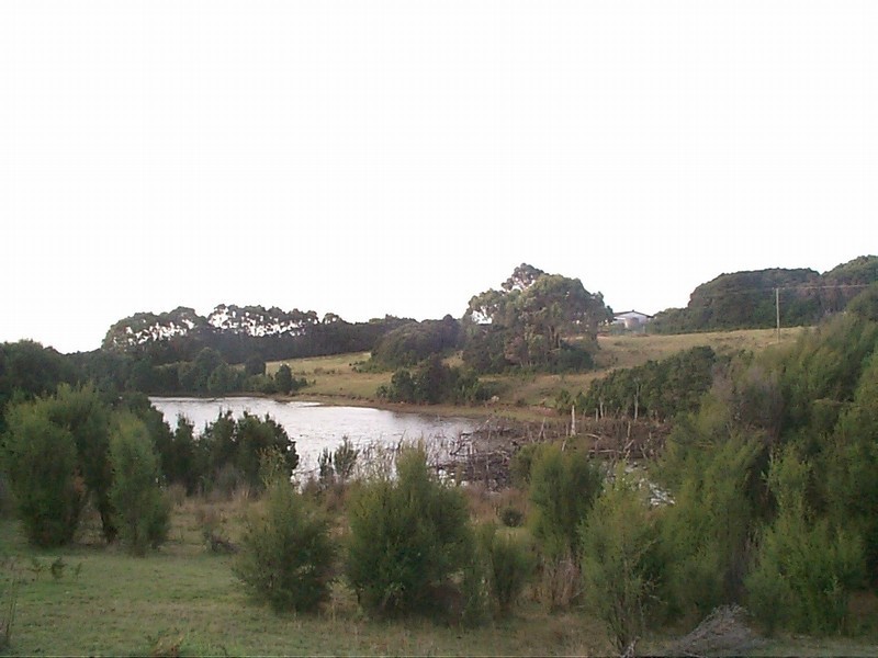 710 Ridges Road, Sea Elephant TAS 7256