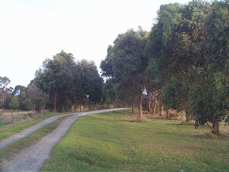 710 Ridges Road, Sea Elephant TAS 7256