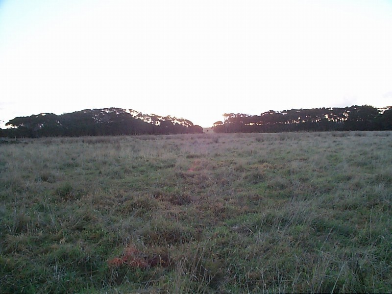 71 Rocky Point Road, Egg Lagoon TAS 7256