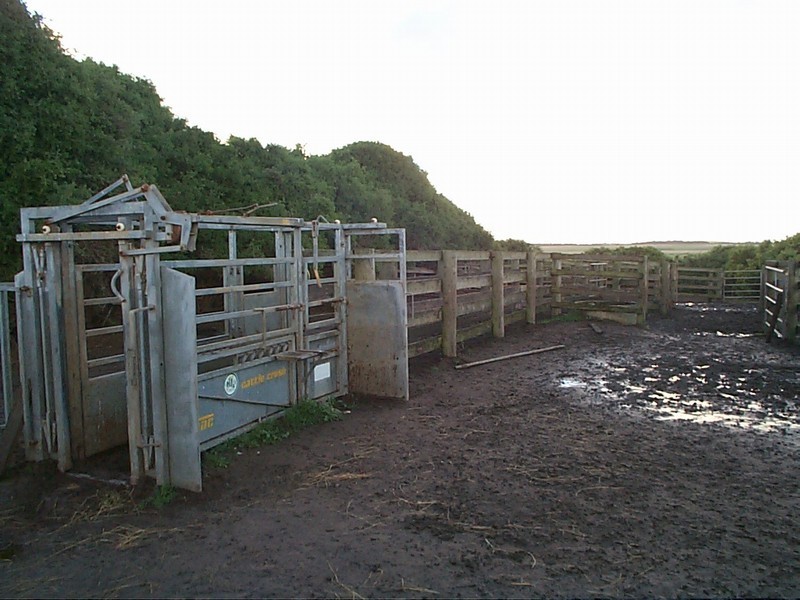 71 Rocky Point Road, Egg Lagoon TAS 7256