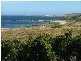 1 Buttons Road, Reekara TAS 7256