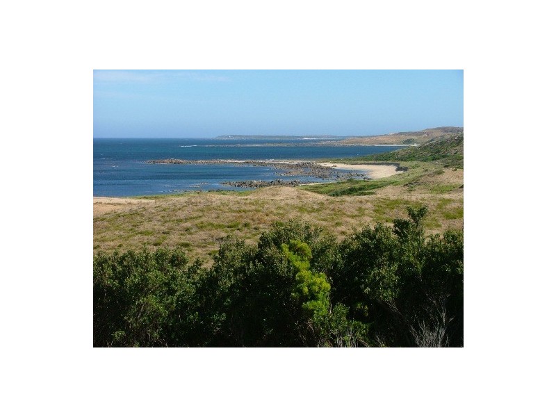 1 Buttons Road, Reekara TAS 7256
