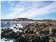 1 Buttons Road, Reekara TAS 7256