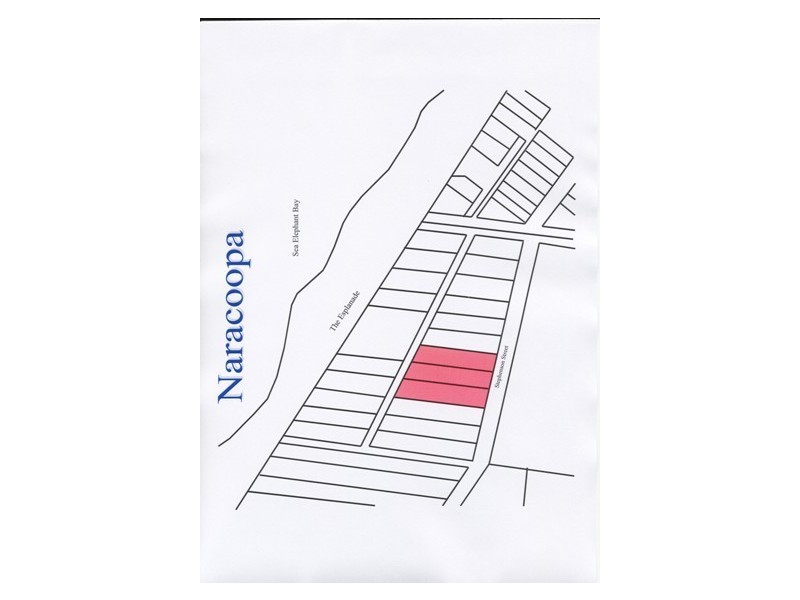 14a-16a The Esplanade, Naracoopa TAS 7256