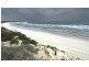 5 North Yellow Rock Road, Yambacoona TAS 7256