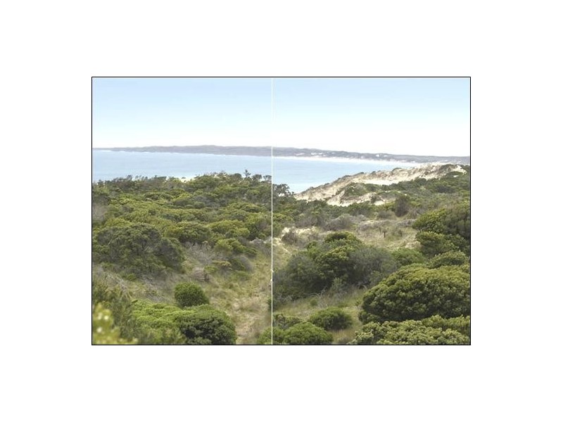 5 North Yellow Rock Road, Yambacoona TAS 7256