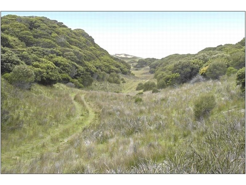 5 North Yellow Rock Road, Yambacoona TAS 7256