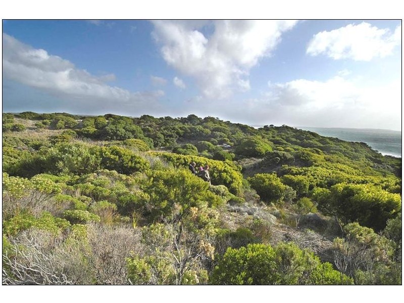 5 North Yellow Rock Road, Yambacoona TAS 7256