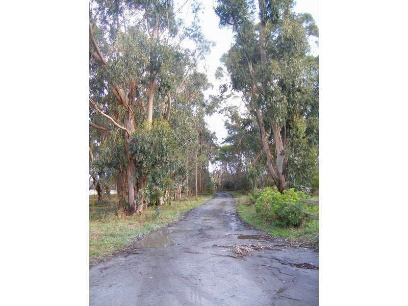 91 South Road, Nugara, Currie TAS 7256
