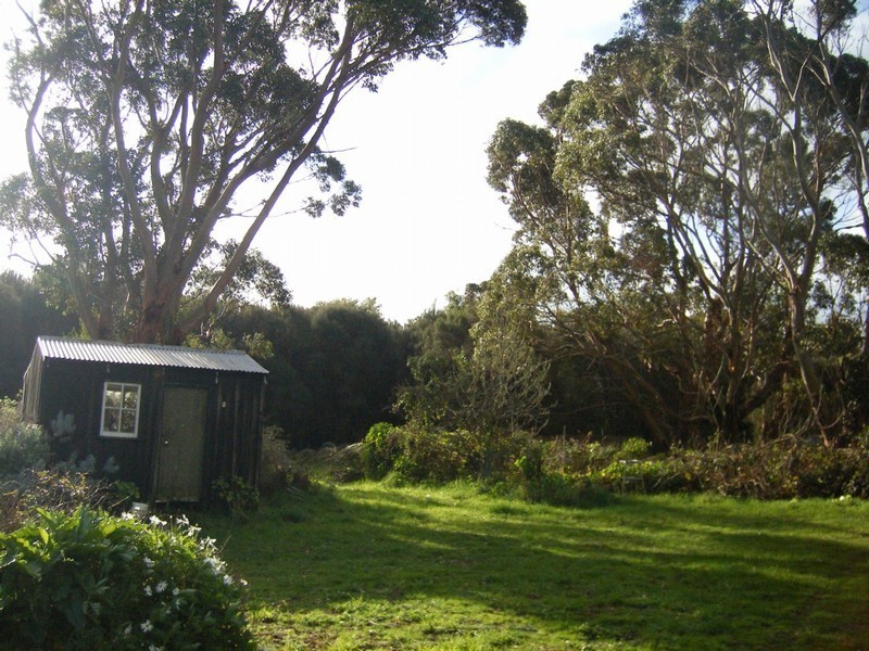 91 South Road, Nugara, Currie TAS 7256