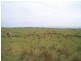 0 South Road, Pearshape TAS 7256
