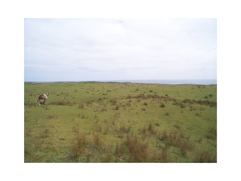 0 South Road, Pearshape TAS 7256