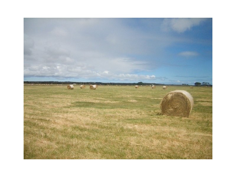 138 Main Street, Currie TAS 7256