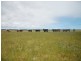 138 Main Street, Currie TAS 7256
