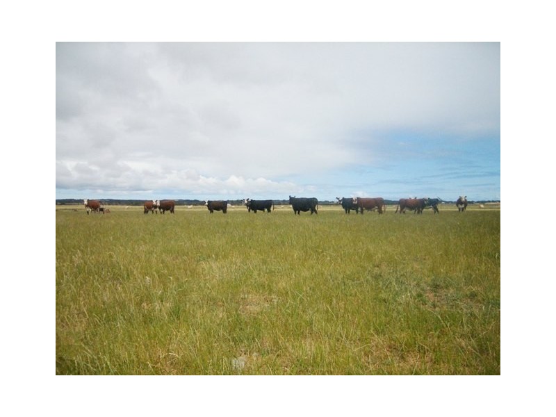 138 Main Street, Currie TAS 7256
