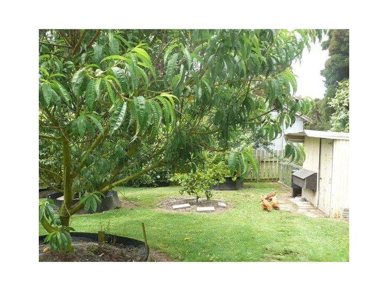2249 Grassy Road, Lymwood TAS 7256