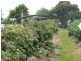 2249 Grassy Road, Lymwood TAS 7256