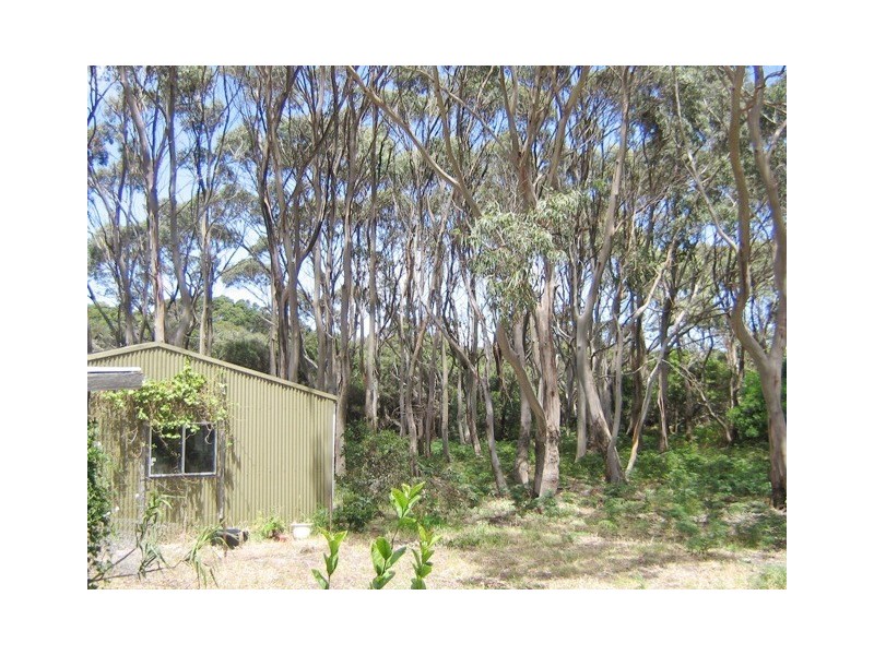 1868 South Road, Pearshape TAS 7256