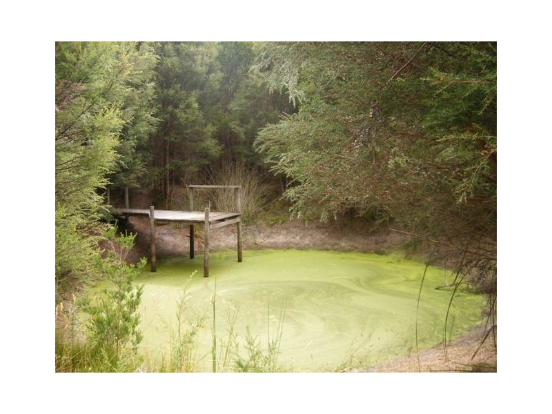 478 Fraser Road, Pegarah TAS 7256