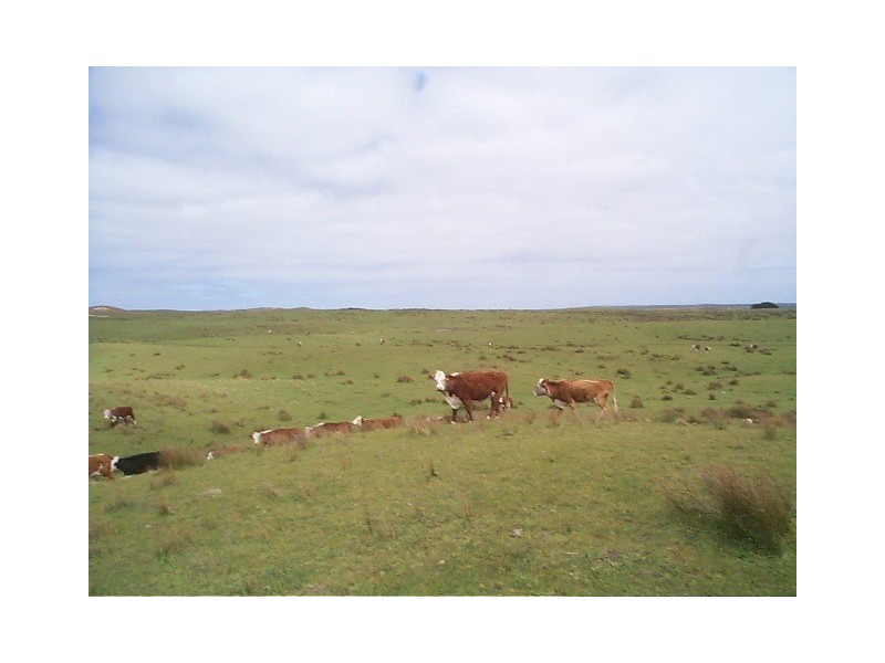 0 South Road, Pearshape TAS 7256