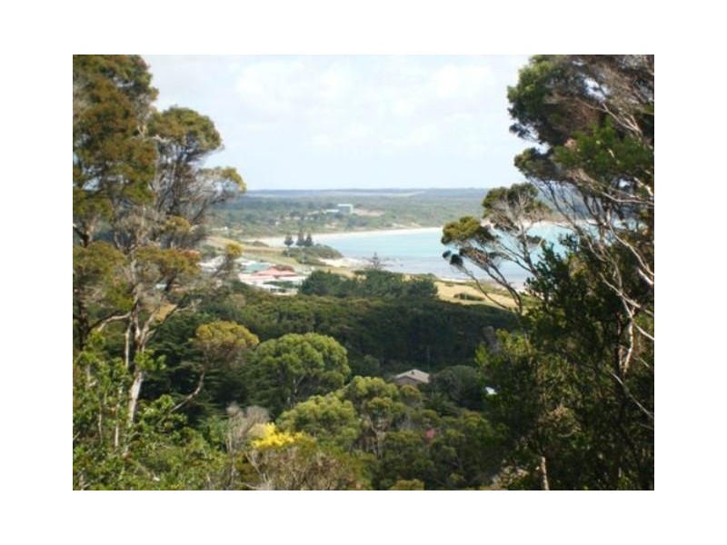 21164 Millwood Road, Naracoopa TAS 7256