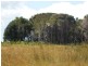 21164 Millwood Road, Naracoopa TAS 7256