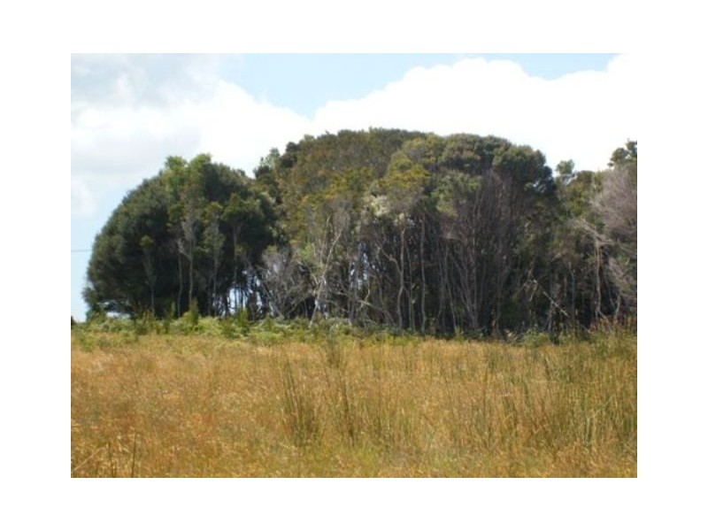 21164 Millwood Road, Naracoopa TAS 7256