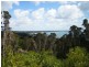 31164 Millwood Road, Naracoopa TAS 7256