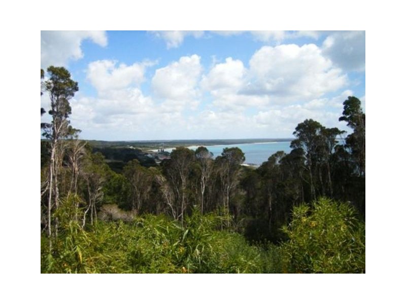 31164 Millwood Road, Naracoopa TAS 7256