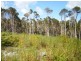 31164 Millwood Road, Naracoopa TAS 7256