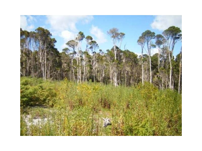 31164 Millwood Road, Naracoopa TAS 7256