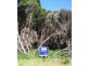 3 Rankins Road, Naracoopa TAS 7256