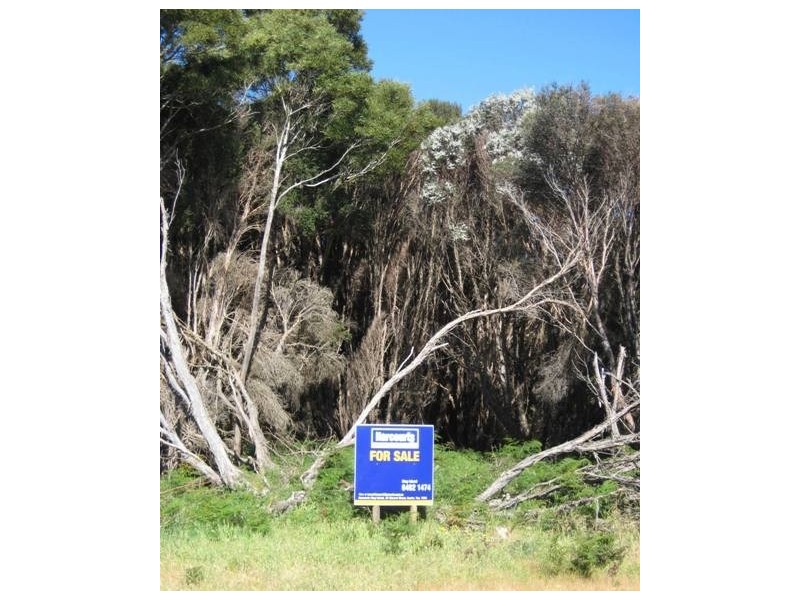 3 Rankins Road, Naracoopa TAS 7256