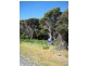 3 Rankins Road, Naracoopa TAS 7256