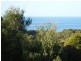 8 Skyline Drive, Naracoopa TAS 7256
