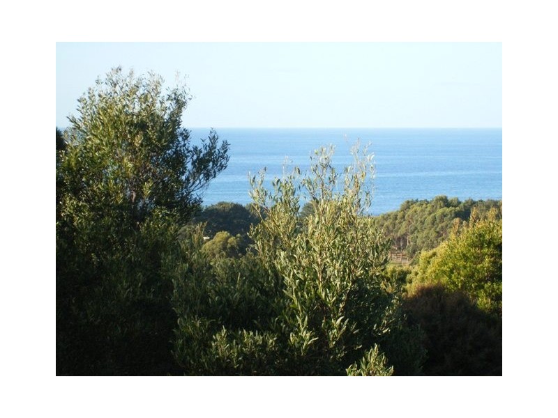 8 Skyline Drive, Naracoopa TAS 7256