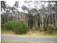 1200 Pegarah Road, Naracoopa TAS 7256