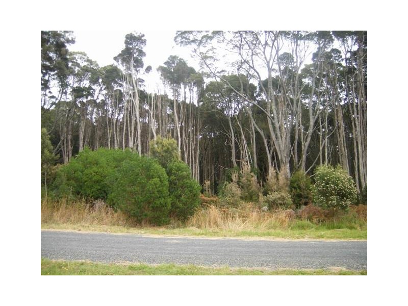 1200 Pegarah Road, Naracoopa TAS 7256