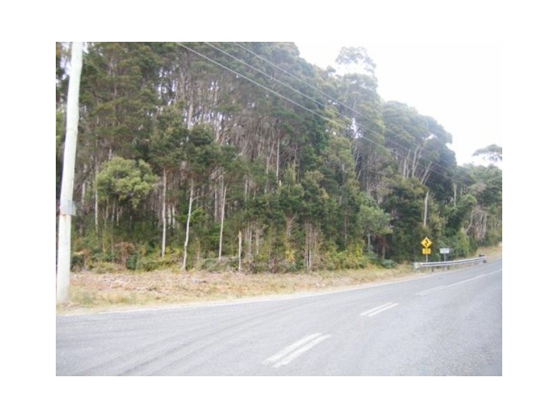 1200 Pegarah Road, Naracoopa TAS 7256