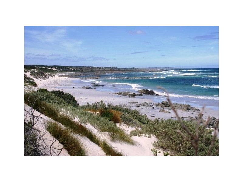 0 Bungaree Road, Reekara TAS 7256