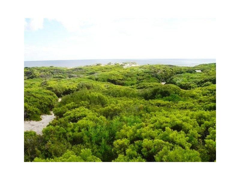 0 Bungaree Road, Reekara TAS 7256