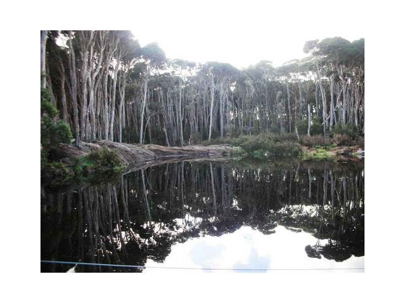 80 South Road, Currie TAS 7256