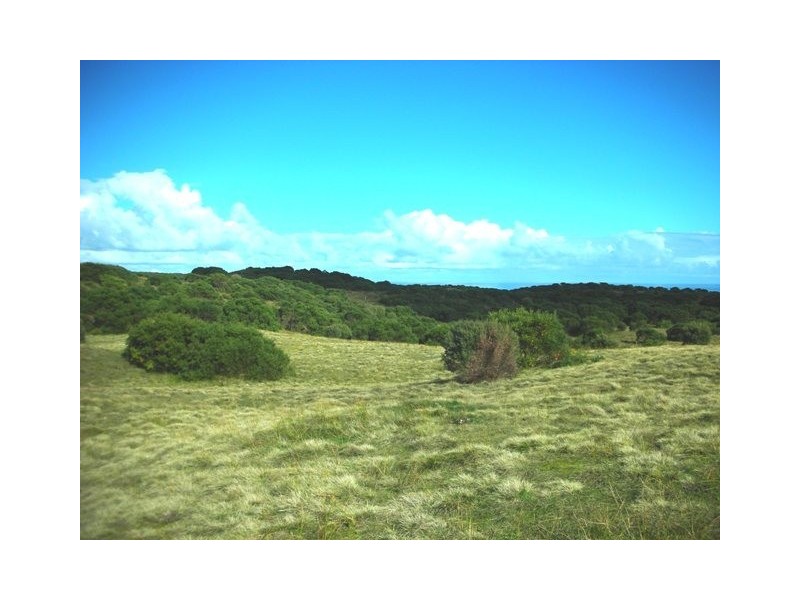 80 South Road, Currie TAS 7256