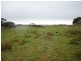 0 Badger Box, Currie TAS 7256
