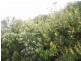 0 Badger Box, Currie TAS 7256