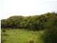 0 Badger Box, Currie TAS 7256