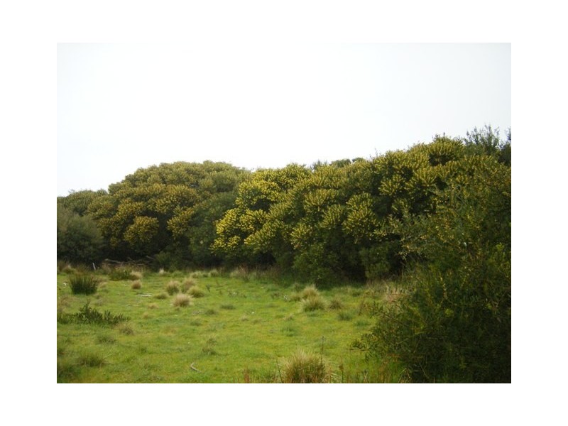 0 Badger Box, Currie TAS 7256
